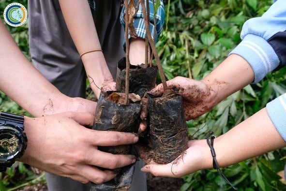 CCCPHL's tweet photo. The #CCCWeek2022 kicked off Saturday with the planting of 200 Narra, Dao, and Sablot seedlings at the La Mesa Nature Reserve by @cccphl and partner agencies and organizations, including indigenous peoples and the youth. https://t.co/K3pAQdsWz9