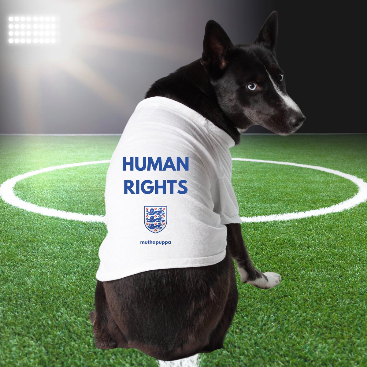muthapuppa's tweet photo. 11 players in support of Human Rights, Women's Rights and LGBTQI+ 

Full campaign here: https://t.co/aFPzqsM9YY

#QatarWorldCup2022   #Qatar2022   #Qatar2022 #journorequest #prrequest #HumanRights  #WomensRights  #LGBT  #LGBTIQ  #DogsofTwittter  #RescueDogs  #AdoptDontShop https://t.co/IgfJUaFIfH