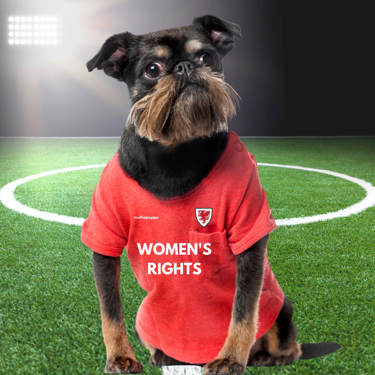 muthapuppa's tweet photo. 11 players in support of Human Rights, Women's Rights and LGBTQI+ 

Full campaign here: https://t.co/aFPzqsM9YY

#QatarWorldCup2022   #Qatar2022   #Qatar2022 #journorequest #prrequest #HumanRights  #WomensRights  #LGBT  #LGBTIQ  #DogsofTwittter  #RescueDogs  #AdoptDontShop https://t.co/IgfJUaFIfH
