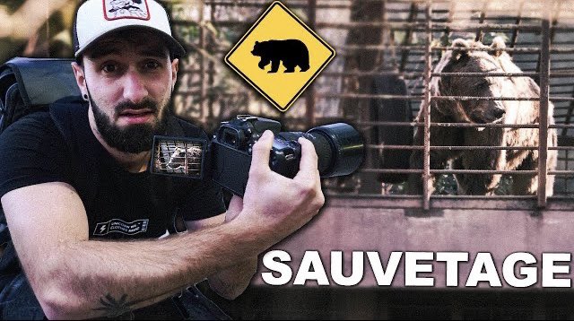 PikaShoute tweet media