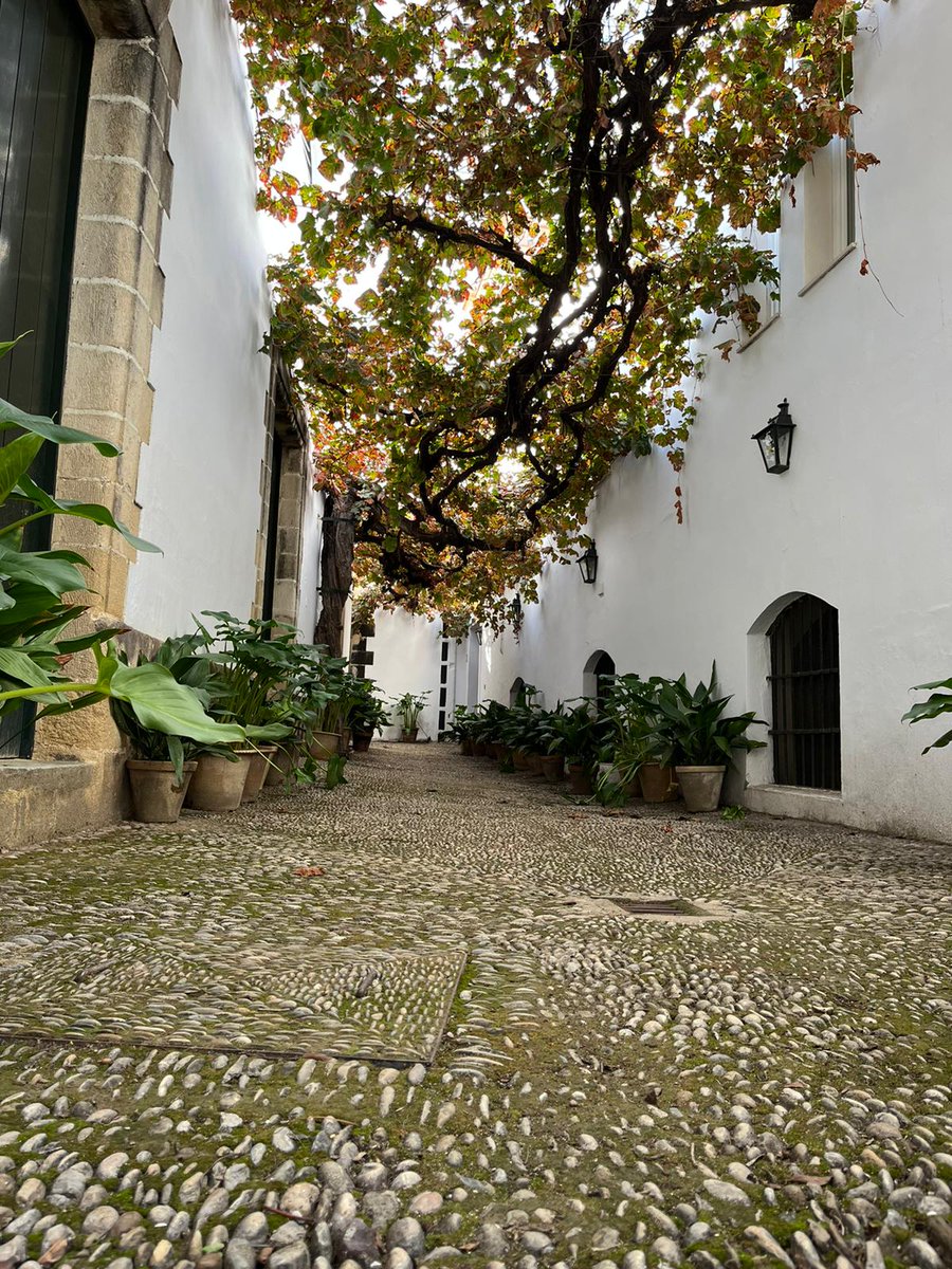 CamperPian's tweet photo. Y ahora toca callejear por Jerez de la mano de  Vente 'Pa Jerez'
@AndaluciaTB @clusterjerez @ciudadjerez @TurismoJerez 
#atb7Jerez #BlogTripJerez https://t.co/DW6wDSVYI1