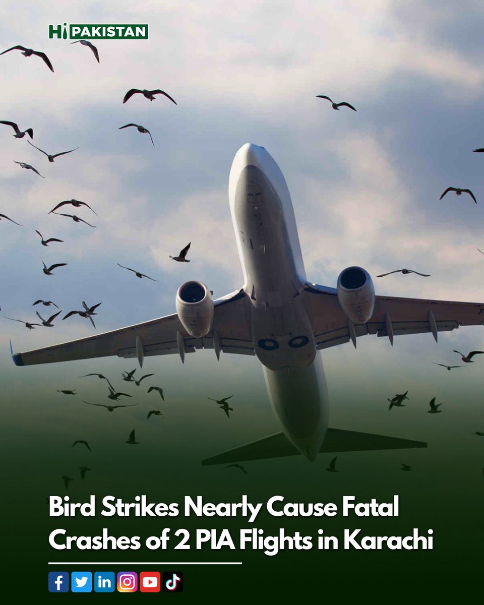 Bird Strikes Nearly Cause Fatal Crashes of 2 PIA Flights in Karachi

- Read more on our Instagram: instagram.com/p/ClLqZQvoD_T/…

#PIA #pakistaninternationalairlines #pakistaninternationalairline #aeroplanelovers #BreakingNews #hipakistan