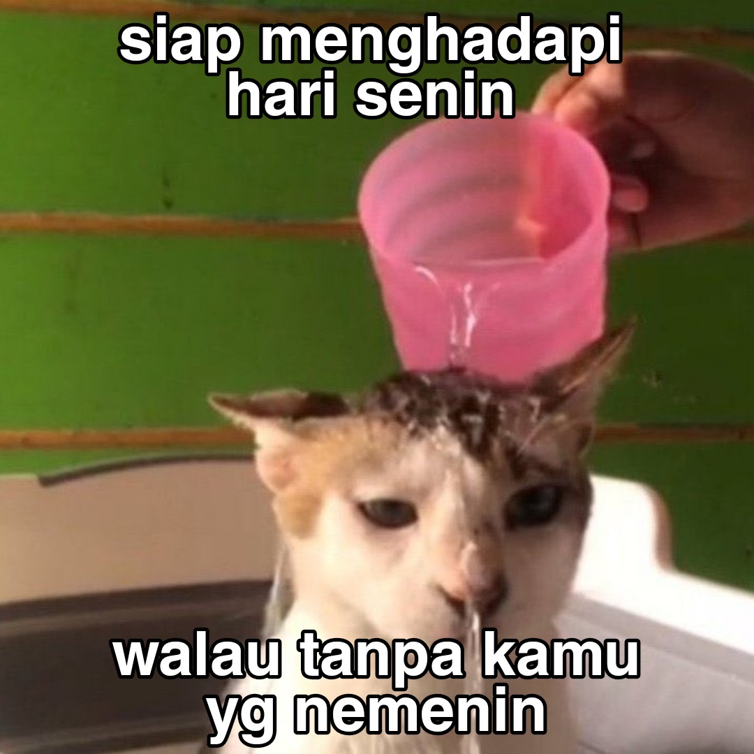 shitegoblin's tweet image. 