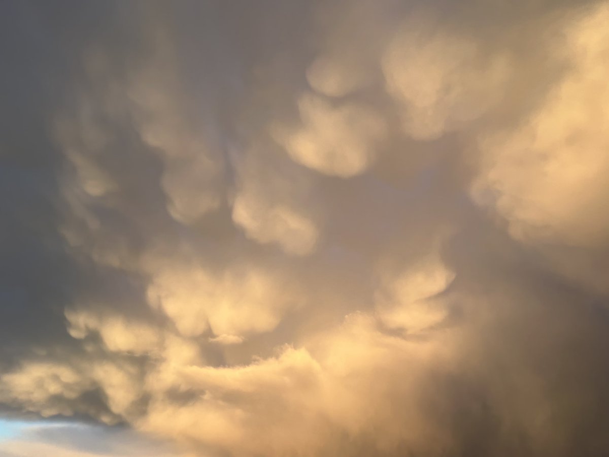 NSF Project LEE tweet media