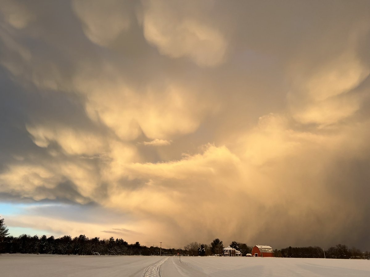 NSF Project LEE tweet media