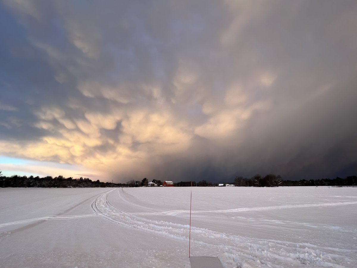 NSF Project LEE tweet media