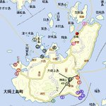 愛犬の日常 NHK党 カープ応援垢のツイート画像