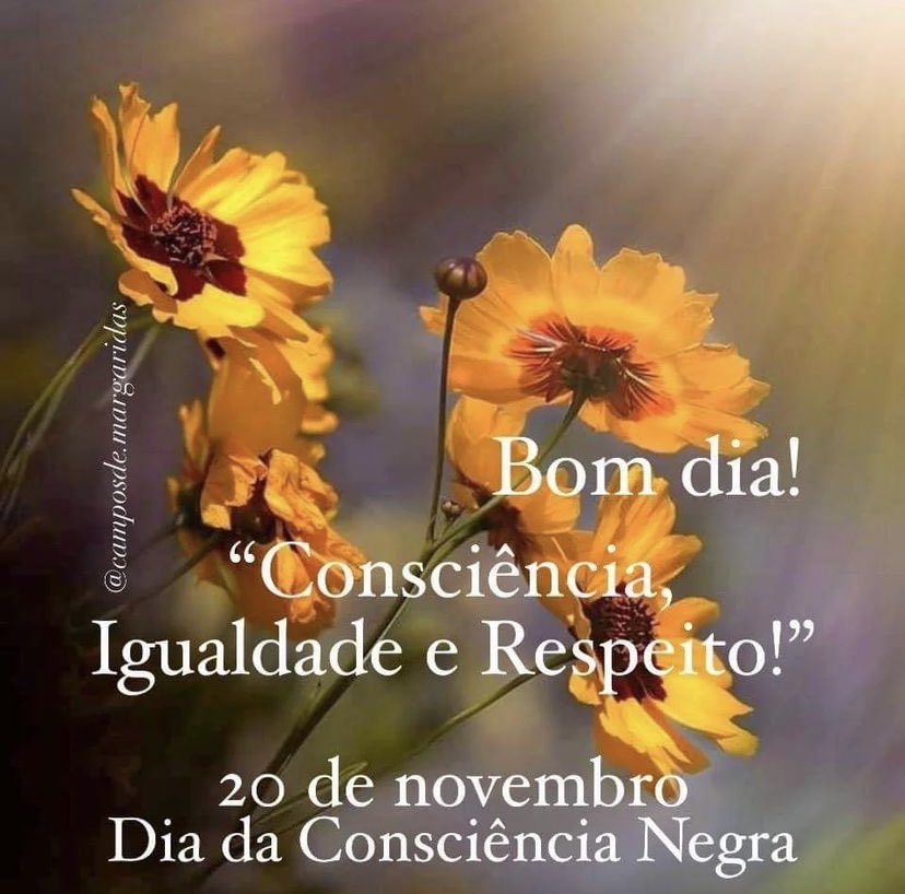 #diadaconsciencianegra #zumbidospslmares