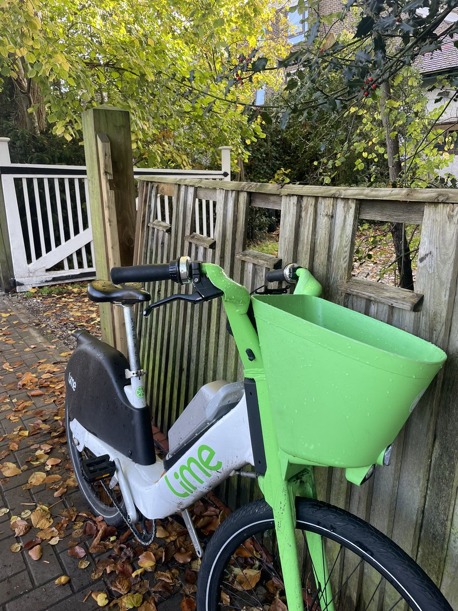 Alice Moxley tweet media