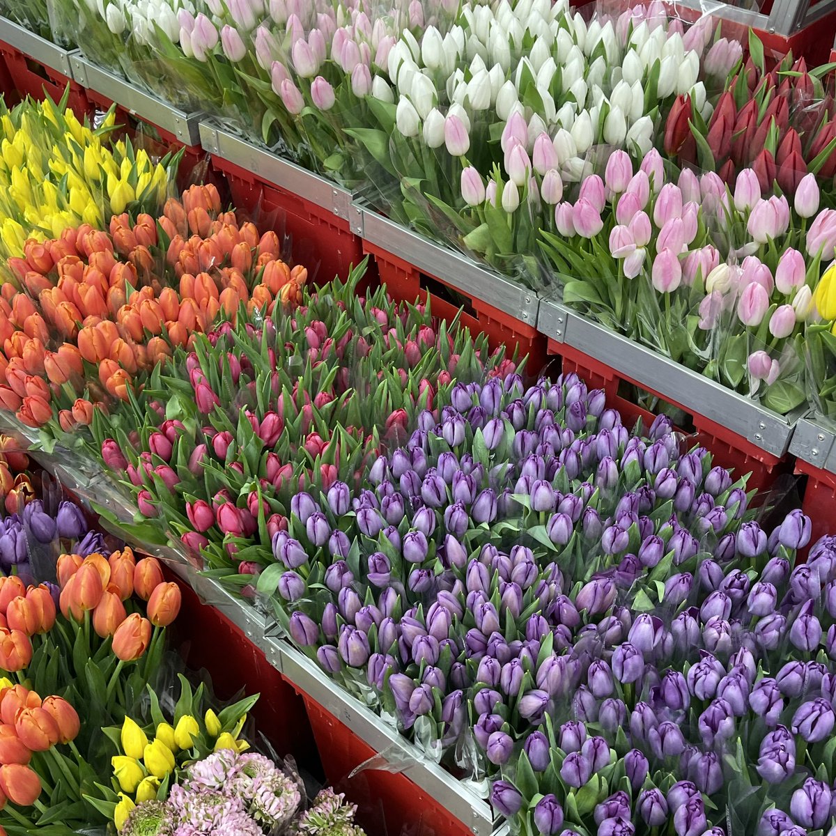 bb🐻 on Twitter "RT sfkkfs_ ไปเดินปากคลองตลาดมา ถูกใจร้าน Dee Dee