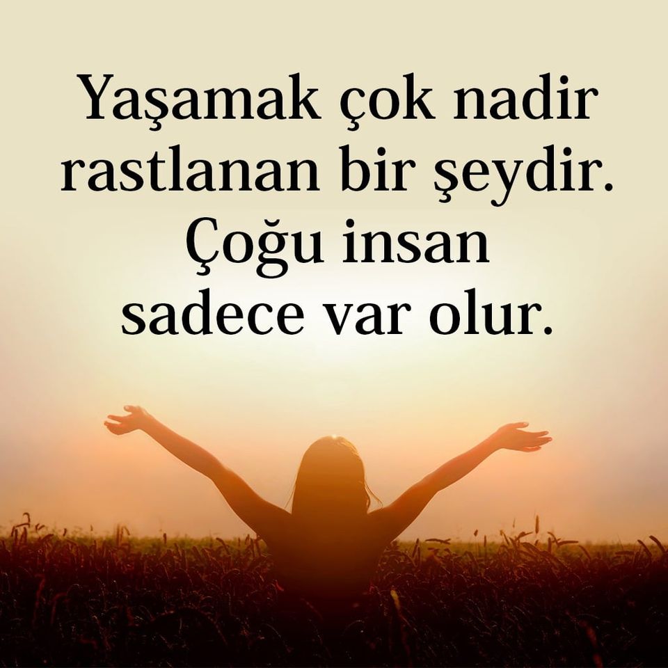 MetinOzdamarlar's tweet photo. https://t.co/Fal5zaQuSa