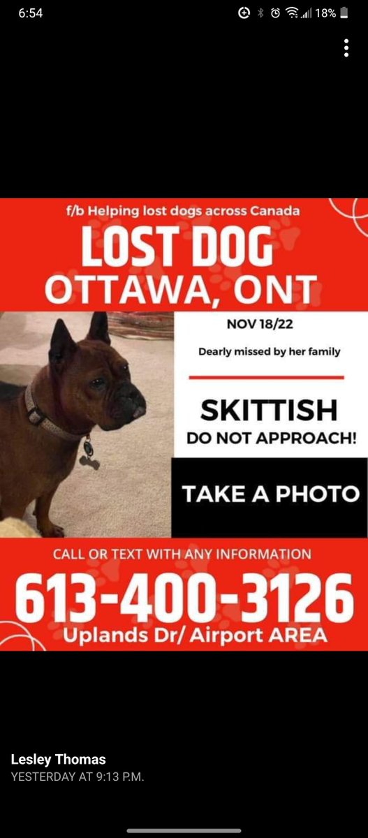 monica smith (@monicasmith2015) on Twitter photo Ottawa:I am actively engaged in search for this dog. Do not call or chase. Sightings needed.Airport,Riverside South, Uplands/anywhere. Pls snap photo/call # on poster or reach out to me. Color looks like fox. <a href="/ctvottawa/">CTV Ottawa</a> #missingdog retweets helpful. Ottawa:I am actively engaged in search for this dog. Do not call or chase. Sightings needed.Airport,Riverside South, Uplands/anywhere. Pls snap photo/call # on poster or reach out to me. Color looks like fox. <a href="/ctvottawa/">CTV Ottawa</a> #missingdog retweets helpful.