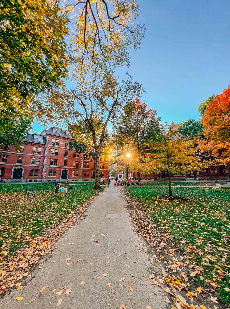 Nothing like a sunny Sunday in autumn 🍂☀️