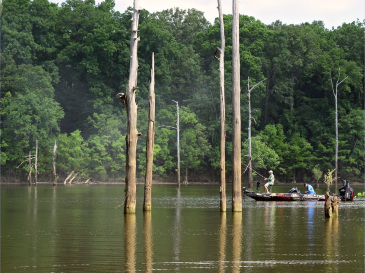 CrappieNow's tweet photo. On clear, sunny days, we often find crappie under docks and around cypress trees. Jackson Lake Island has both, making it one of our favorite crappie fishing spots!
@ElmoreEDA
#ECEDA #VisitElmore #DockShooting #JacksonLakeAlabama #AlabamaOutdoors #CrappieFishing https://t.co/gItky7dXdt