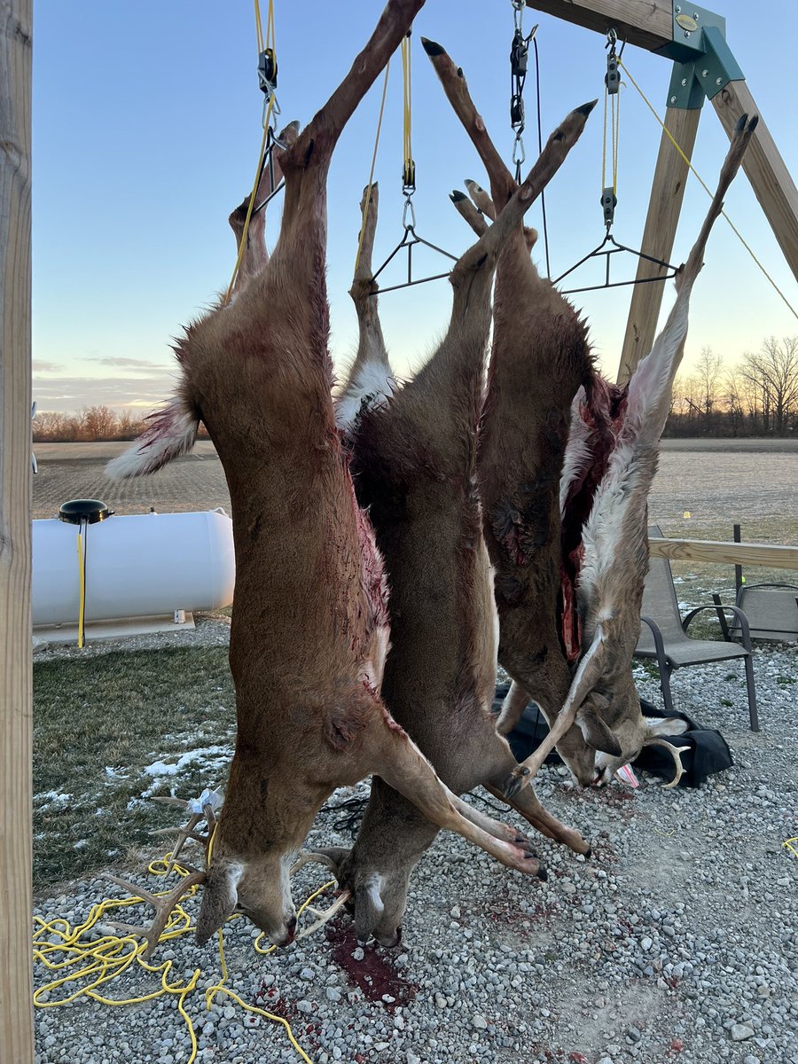 kooolhanluke's tweet photo. Our Ohio youth buck pole getting a workout! Love having a bunch of kiddos that will carry on the traditions! Brothers that are raising their kids right!! @boopesss51 @SandorCondor EC and LG
#Wac’em https://t.co/oXHJ4v8NHN