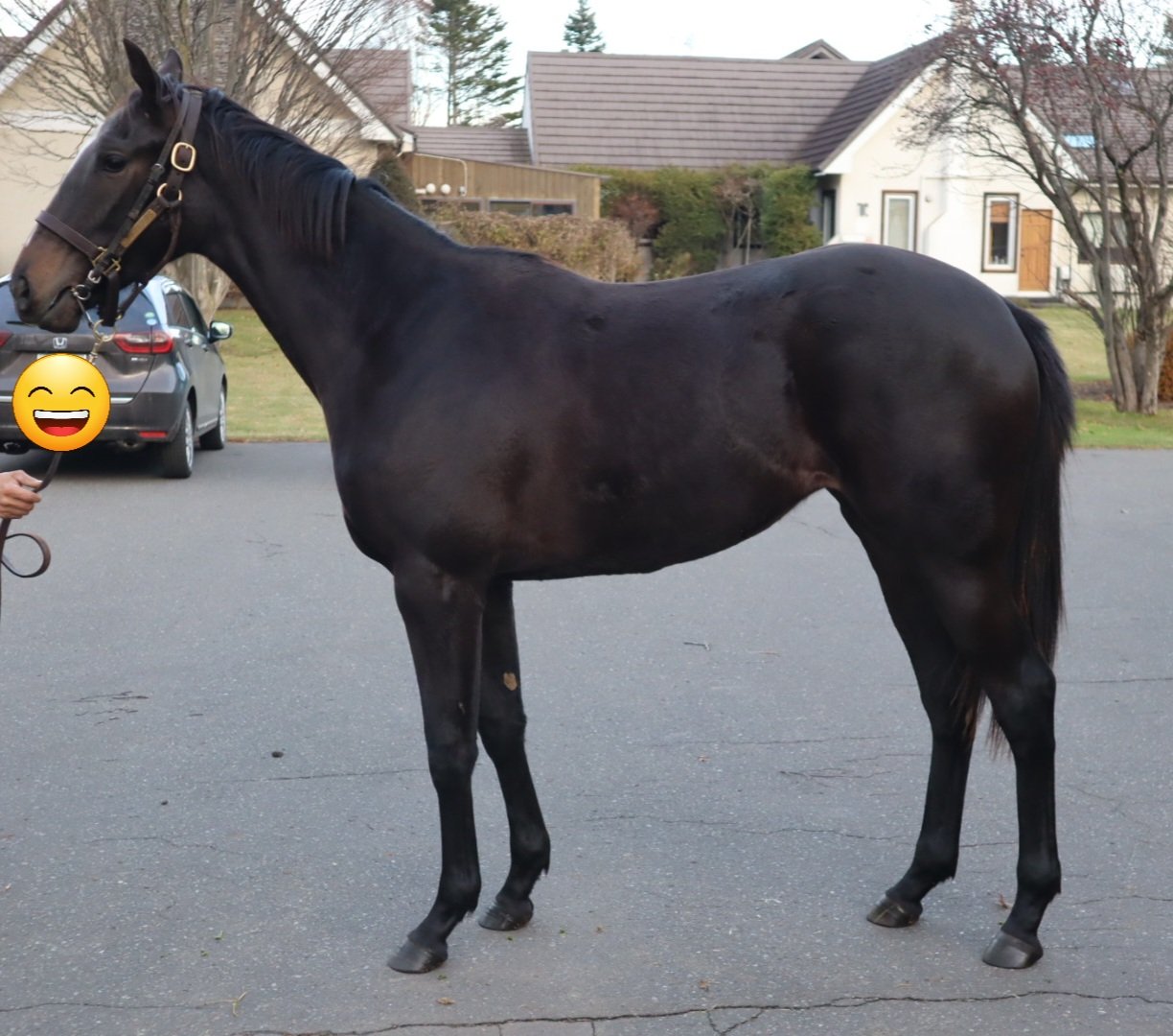 來参黎 Keiblack Twitter