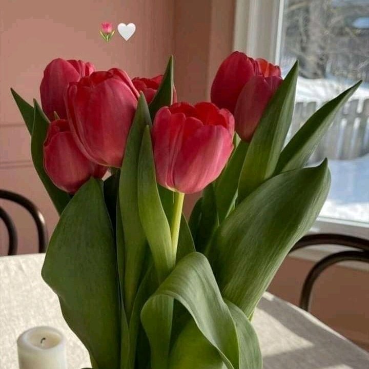 #صورة_ملف_شخصي_جديدة