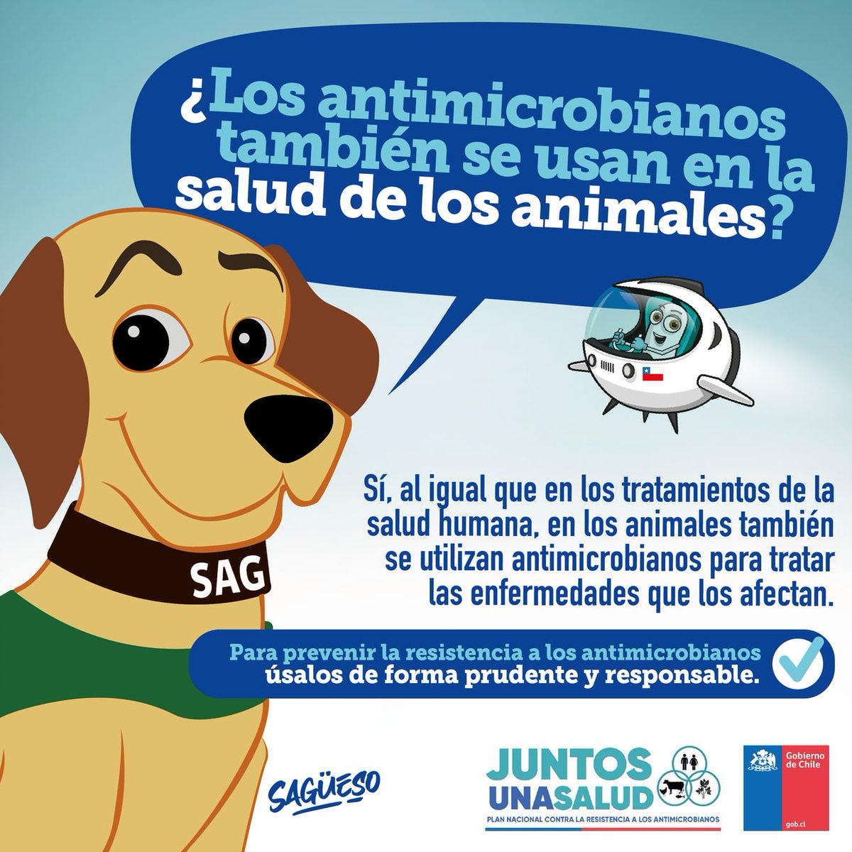 ACHIPIA's tweet photo. Estamos celebrando la campaña mundial de la semana de la concientización sobre la resistencia a los antimicrobianos #RAM2022.  Sagüeso, de @sagchile, te invita a prevenir la resistencia a los antimicrobianos usándolos de forma prudente y responsable. #telodijoachipia #unasalud https://t.co/4EHlvbLggn