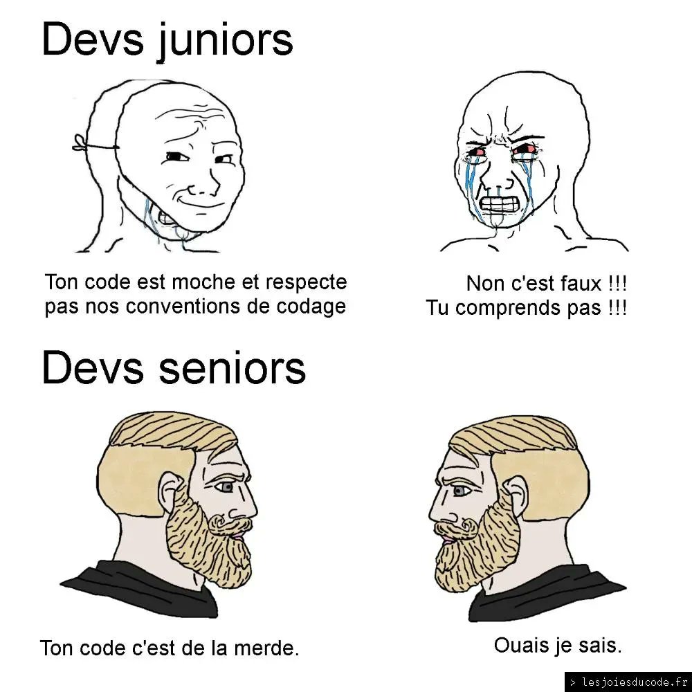 lesjoiesducode's tweet image. Au bout d'un moment, on arrête de se voiler la face 😏 lesjoiesducode.fr/devs-juniors-v…