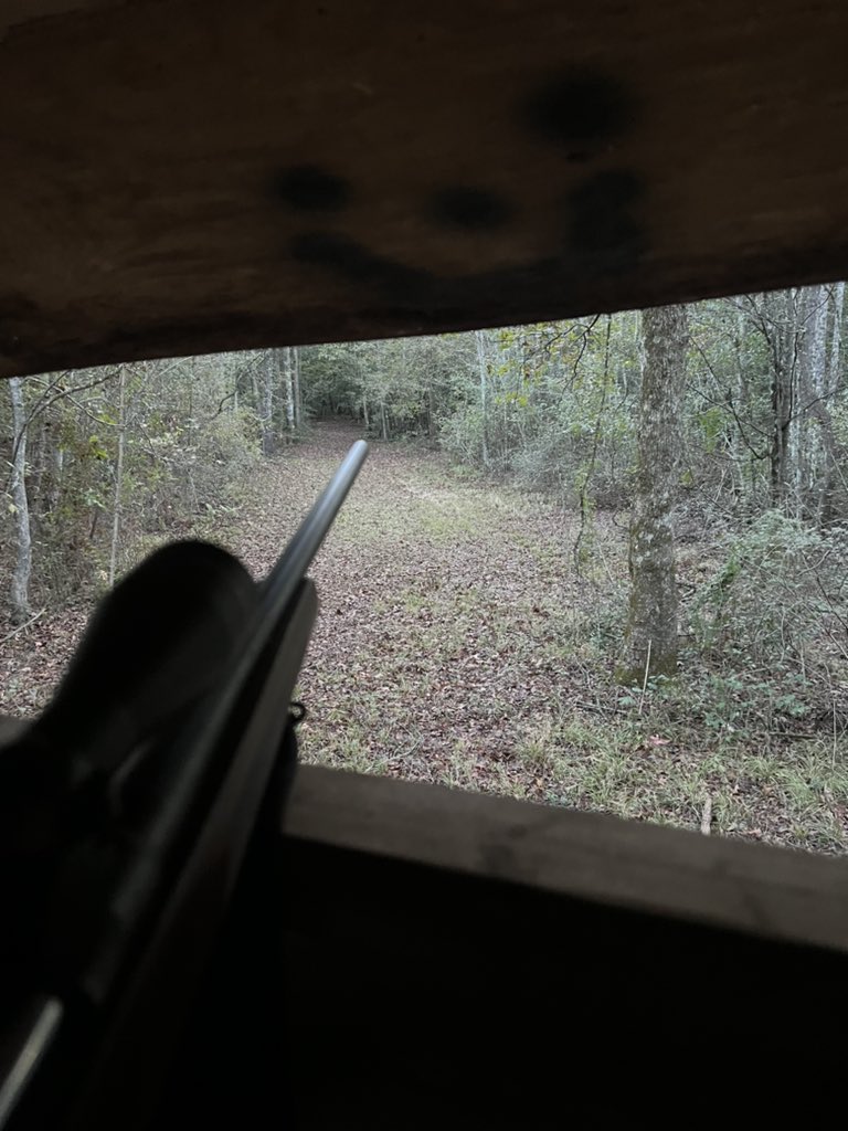 Riflemanscreed2's tweet photo. At Hog pen… 
Saw a spike or 4 pt right when I sat down. Couldn’t tell bc it wasn’t light enough. Exciting though 🦌
#Hunt25 https://t.co/NuQVCvixmp