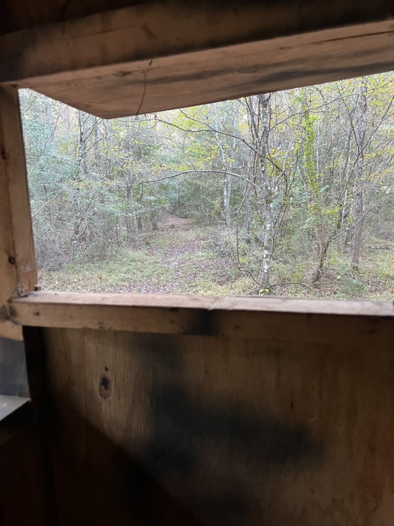 Riflemanscreed2's tweet photo. At Hog pen… 
Saw a spike or 4 pt right when I sat down. Couldn’t tell bc it wasn’t light enough. Exciting though 🦌
#Hunt25 https://t.co/NuQVCvixmp