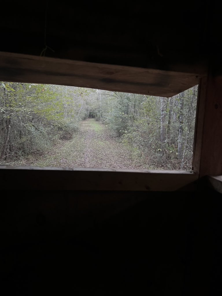 Riflemanscreed2's tweet photo. At Hog pen… 
Saw a spike or 4 pt right when I sat down. Couldn’t tell bc it wasn’t light enough. Exciting though 🦌
#Hunt25 https://t.co/NuQVCvixmp