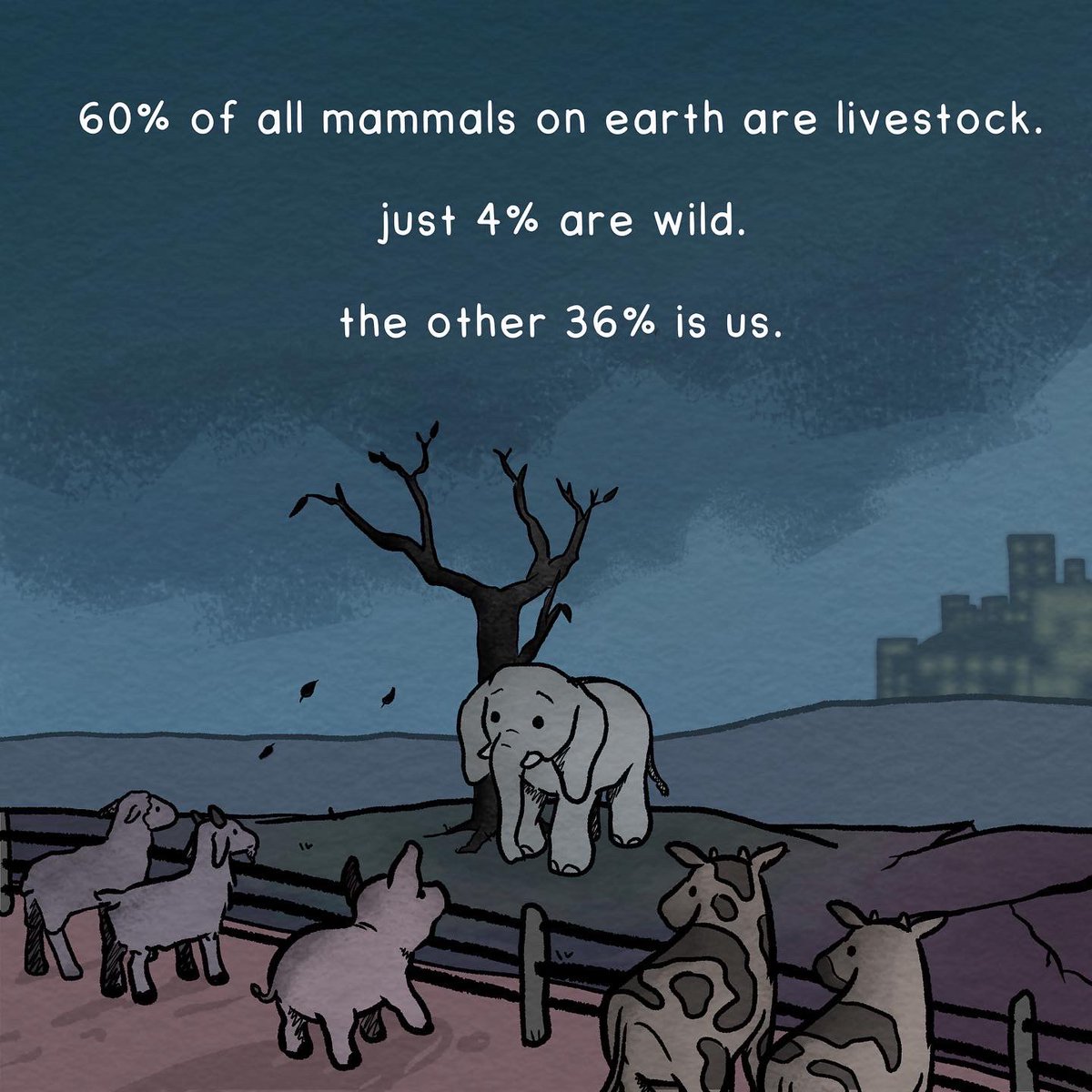 rewritingearth's tweet photo. Our hearts!! Factory farming is diabolical. If you eat meat, please try and check you're not supporting this industry.  
Give @ontheedge_org a follow for weird animal facts, fun and to learn more. 
Comic from @dino_comics and @paulgoodenough 
#NatureFacts #creatorsontheedge https://t.co/uhMOw1Rx3Y