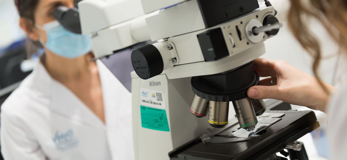 🔬Esta semana hemos sabido que investigadores del VHIO describen por primera vez la función de una microproteína clave para muchos tipos de cáncer.

El trabajo lo ha llevado a cabo el <a href="/MariaAbadLab/">Cellular Plasticity and Cancer Lab</a>. 

➕ bit.ly/MicroproteinaV…

#PreclinicaVHIO #TraslacionalVHIO