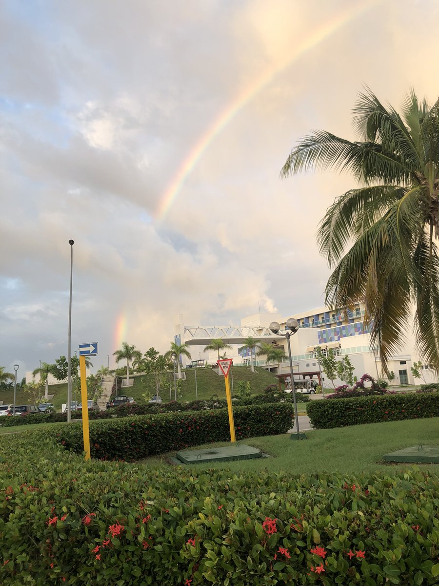 RachelBeniteza1's tweet photo. Arcoíris 🌈 🥺 https://t.co/JBgU1YbhOO