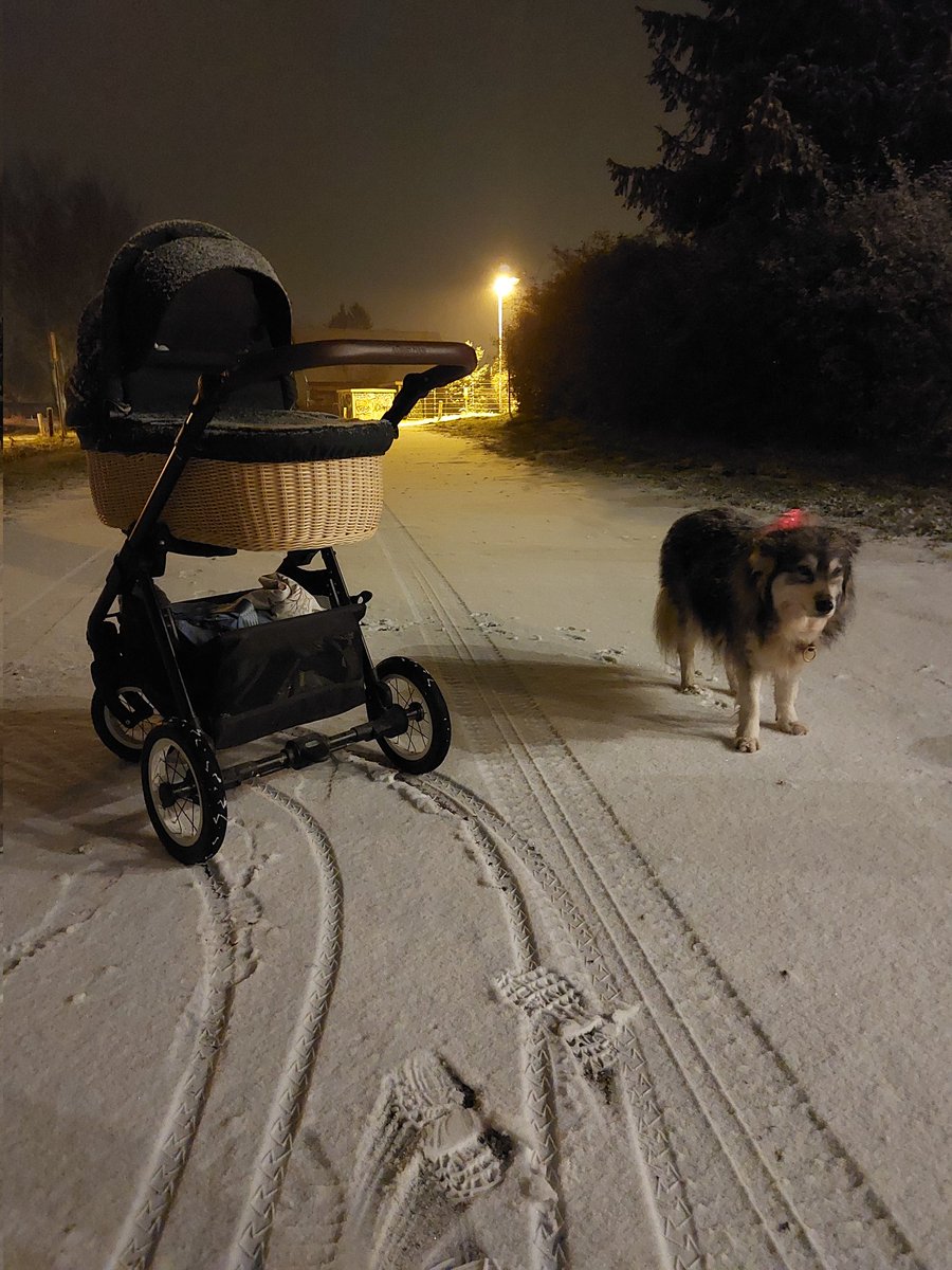 dadgefluester's tweet photo. Es war die Nacht vor Dadgeflüster und es legte sich eine sanfte, weiße Decke auf die Welt https://t.co/bbQbEMyWZb