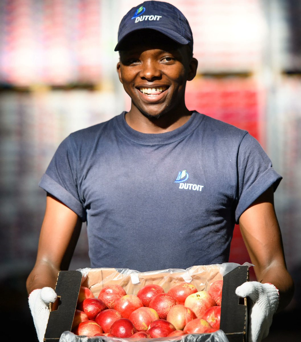 SAFruit's tweet photo. The South African fruit industry works with initiatives such as PALS and The Jobs Fund Project which have economic growth, job creation and social harmony as their main goals. #stonefruit #southafricanfruit #transformationprojects #sustainablegrowth https://t.co/rx7FARU1Fu