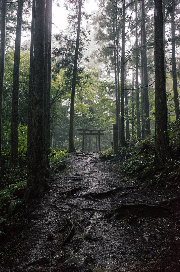 holamoncat's tweet image. El Kumano Kodō (熊野古道) és una sèrie d'antigues rutes de pelegrinatge que travessen el Kii ...
holamon.cat/ca/kumano-kodo

 #viatjar #Kumano #Kodō