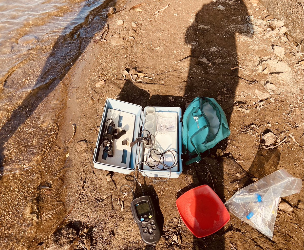 pratyashanayak's tweet image. On-field glimpses of diatom sampling ☘️✨
#diatoms #ecology
#nature #Environmentalist 
@karthickbala @Radhacheran