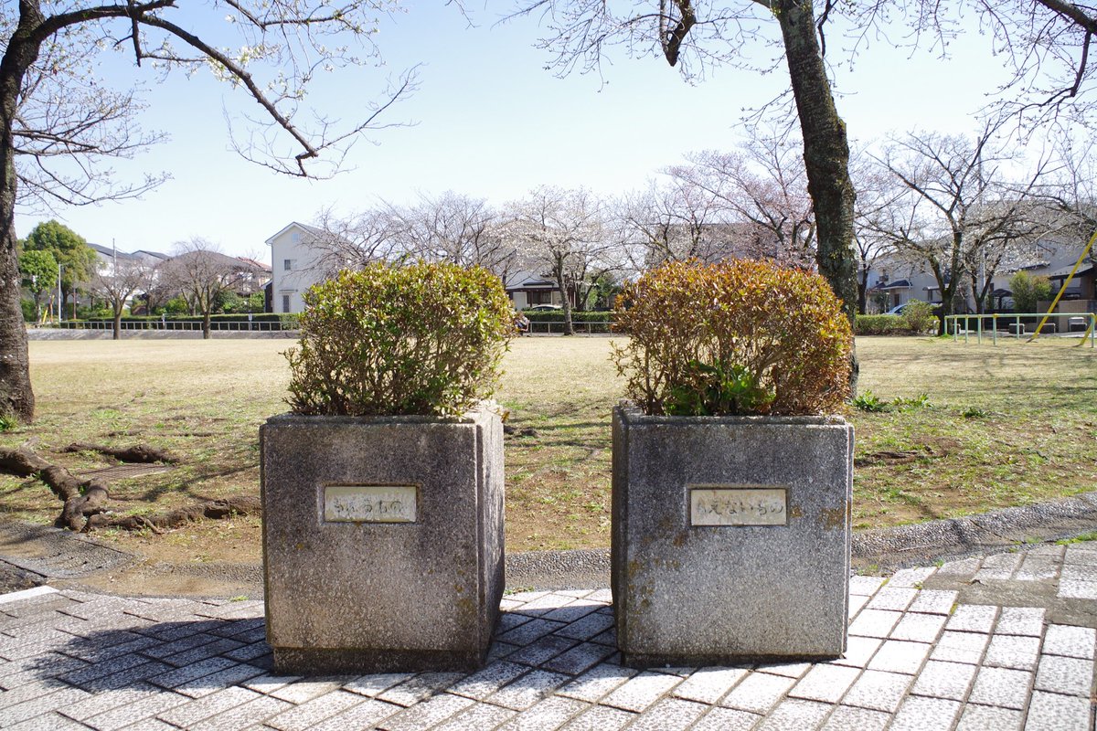 TamaNT_bot's tweet photo. もえるもの／もえないもの https://t.co/0Pm5STg40o