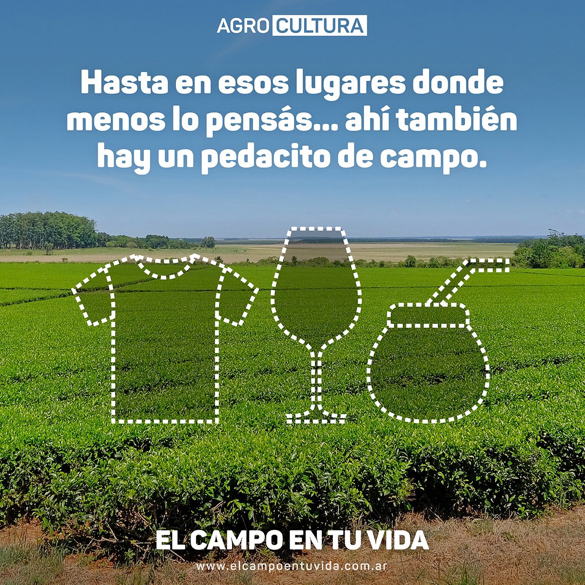 Un mate calentito, una remera de algodón y una copa de vino tienen algo en común: llevan un pedacito de campo. Sumergite en el mundo agro y conocé cuánto campo hay en tu día a día. ➡️ elcampoentuvida.com.ar #AgroCultura #ElCampoEnTuVida
