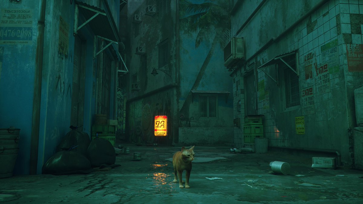 kalok_eric's tweet photo. #PS5Share, #Stray https://t.co/KrsvAyxFLy
