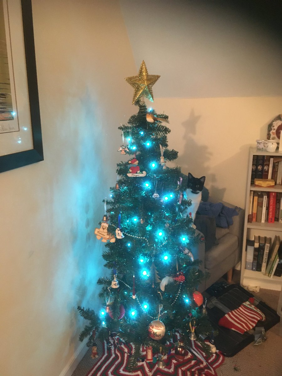 lora_hora's tweet photo. @Horatio_LadyH Mines mum had a lubbly twee wif sparklies and wobins and bells.  Ahh likes to pway in it and one time de twee felled ober and aw de wobins and de sparklies went missing. Mum now has speashal stinky fings to hang on de twee. Dems smells ov cinnabums and owranges. Ah no likes dem https://t.co/fApQxA0QJi