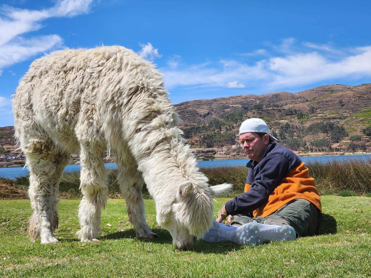 NathanDOgden's tweet photo. Hanging out with my buddy Pancho the alpaca at 12,300 feet in Perú. https://t.co/F2KRi6yyfx