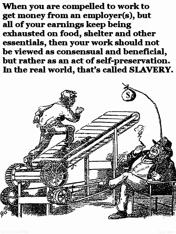 The Socialist Party tweet media