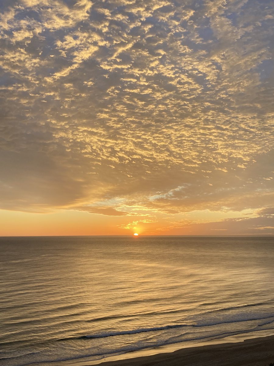 Corrine Barraclough tweet media