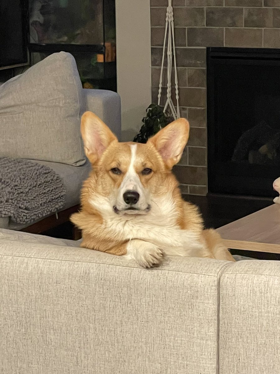 <a href="/heyMAKWA/">🇵🇸 Permanent Intifada 🇵🇸</a>