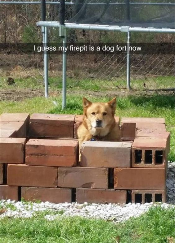 WholesomeMeme's tweet photo. https://t.co/hEpay5Q6rh