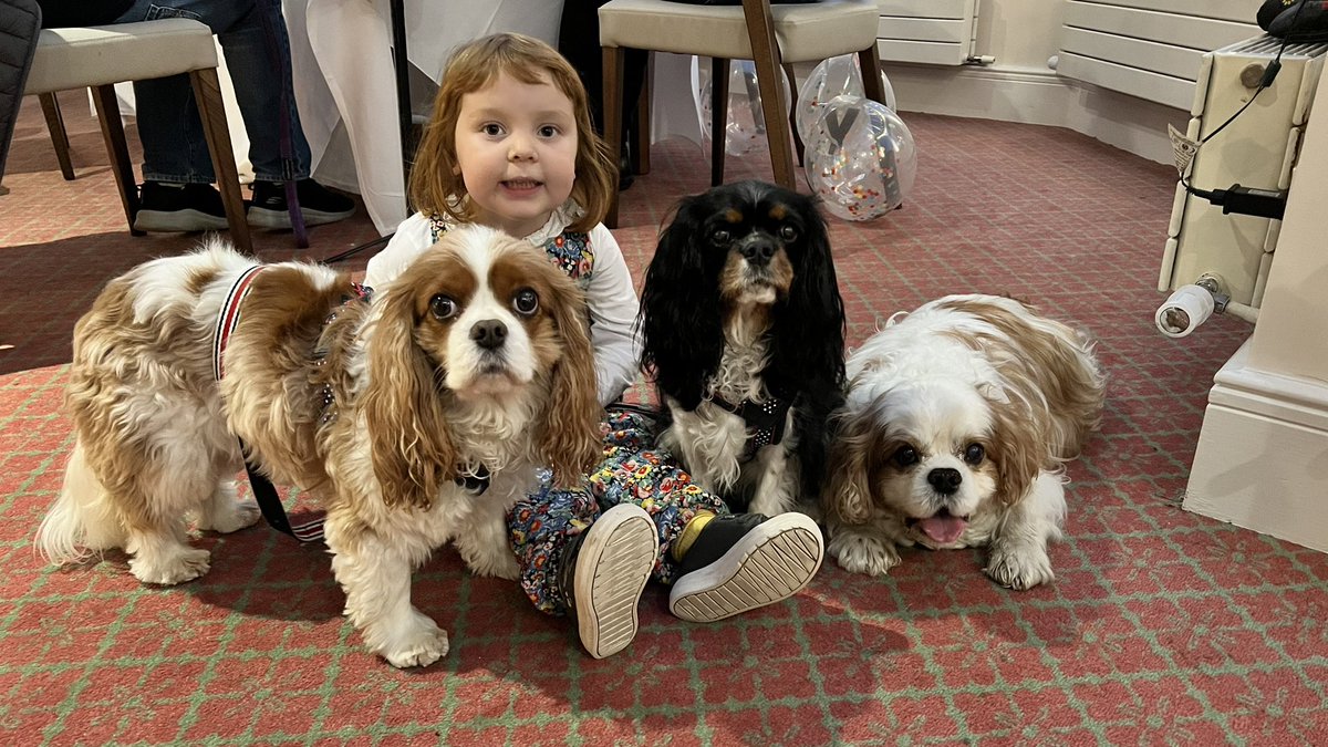 A wonderful day and special celebration for Harveys lovely mum🎂🎊🍾🥂🥳 <a href="/harveybones/">Harvey 🩷💙🦴</a> <a href="/Florencecavpack/">Florence</a> <a href="/Carlisle_x/">Sara xx Ⓥ</a> 🥰🥰🥰