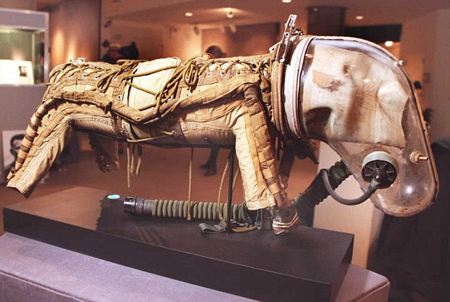 dog space suits 
