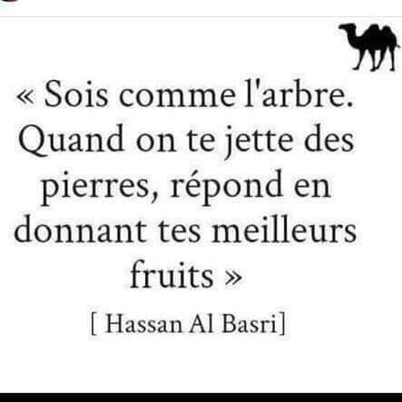 DSouabirou's tweet photo. Ma-cha-Allah ! https://t.co/RSM9EqSRSm