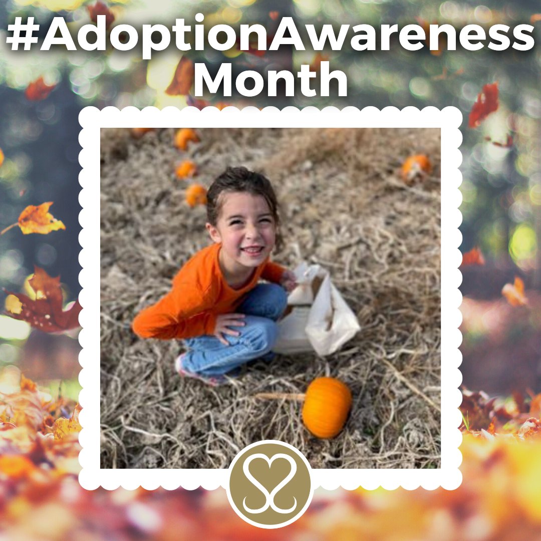 Sacred Selections tweet media