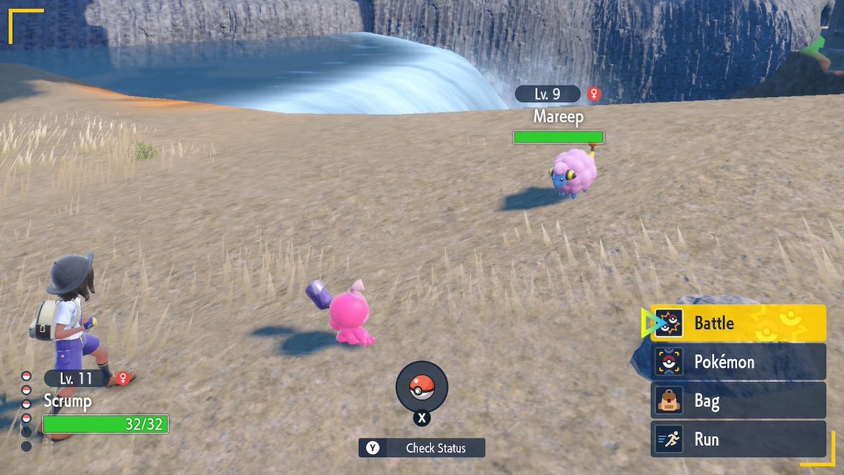 MaiaLavender's tweet photo. Found my First Shiny✨

Shiny Mareep! Like a big cotton candy plus modest nature😆

#PokemonScarletandviolet #PokemonViolet #ShinyPokemon #MaiaPost https://t.co/sOCd0W2EaJ