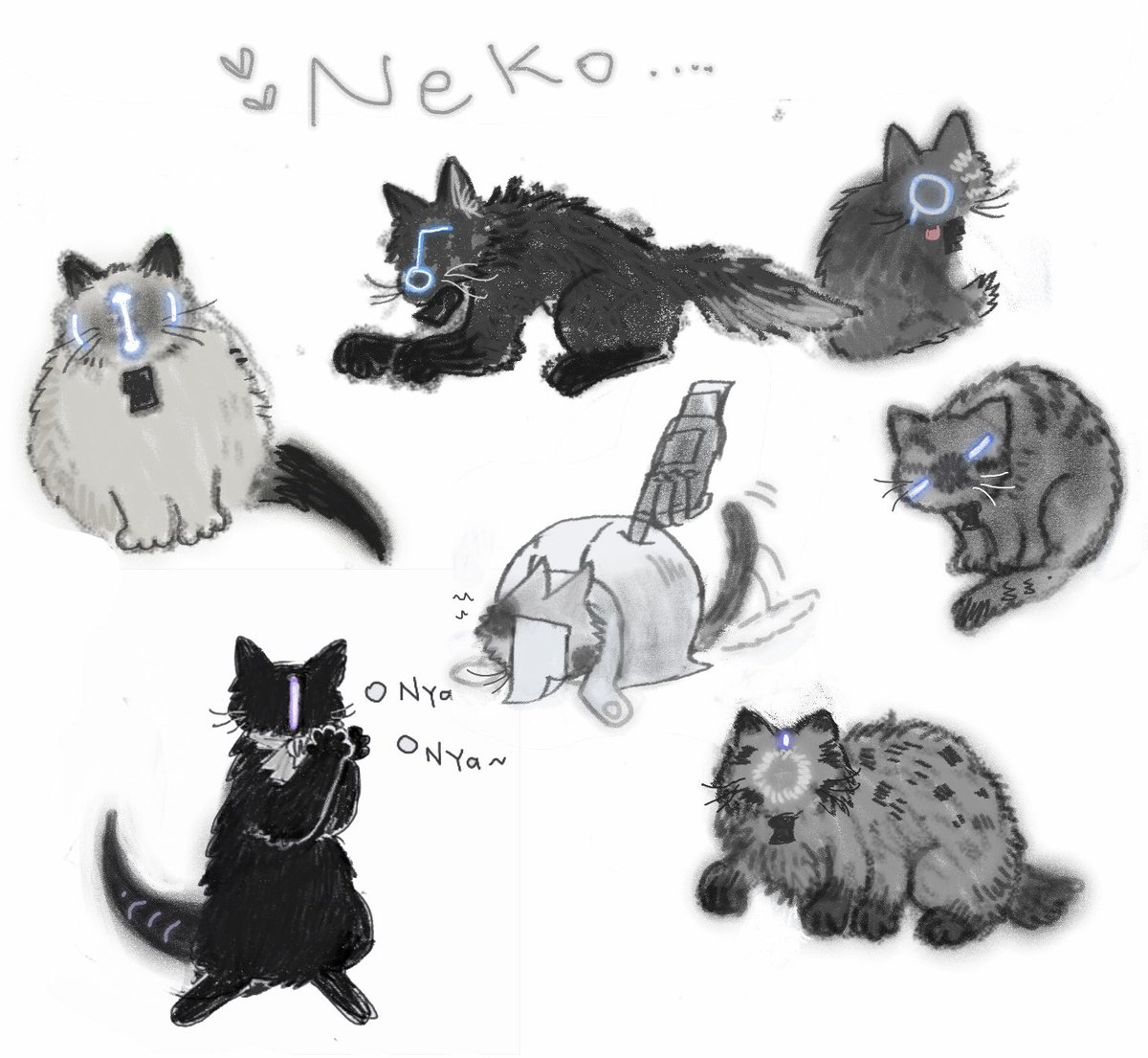 flaska8888's tweet image. suspicious looking cats！