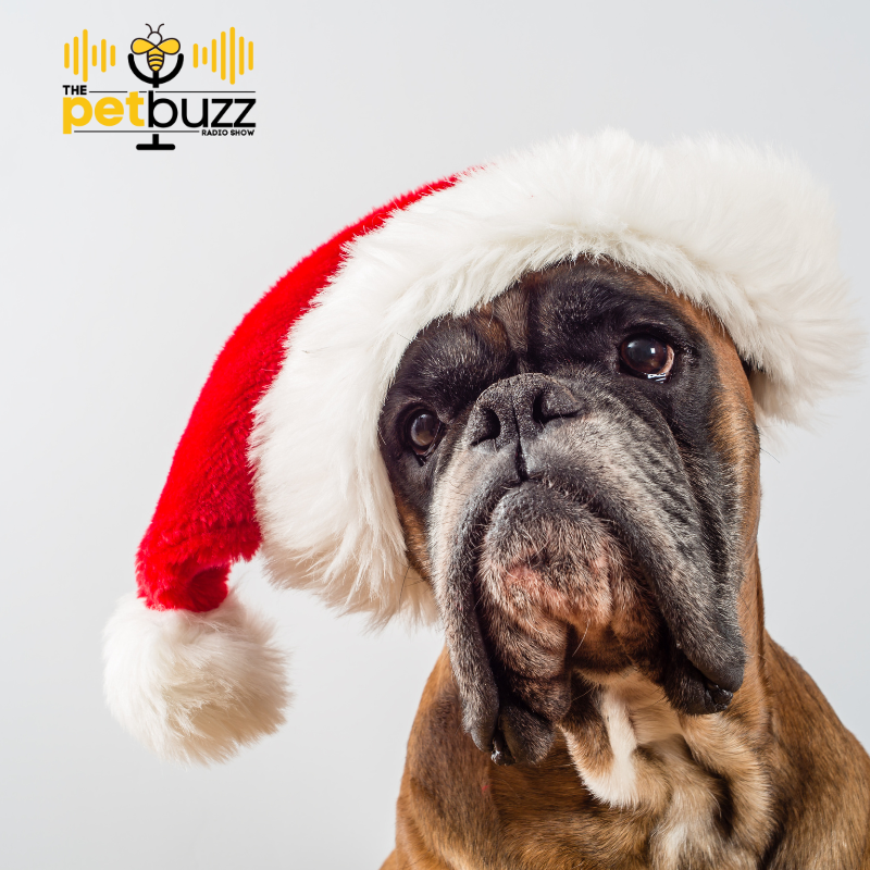 Pet photos with Santa? 🐶🎅🏽😸 Yes please!
Chris Landtroop of Cherry Hill joins us this week to discuss pet pics with Santa. 

Find out more at cherryhillprograms.com.
Radio station ThePetBuzz.com.
#welovedogs #petphotoswithsanta #dogandsanta #petholiday #petholidays