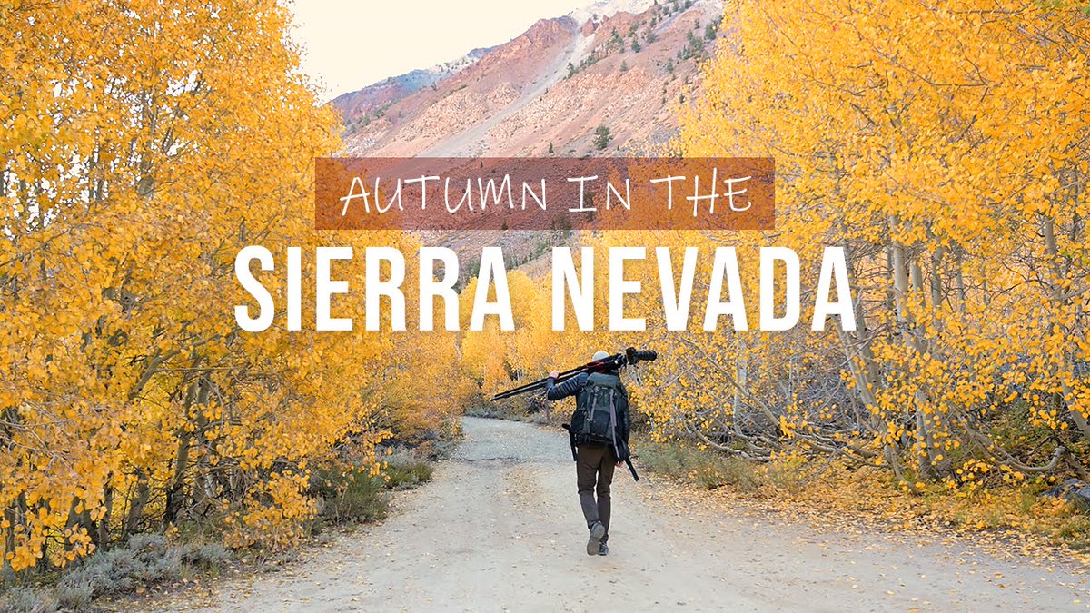 dsafanda's tweet image. I know I'm not the only one who loves autumn road trips. I just uploaded a new video to YouTube that documents a couple of recent getaways to explore fall color in the Sierra Nevada. If it sounds interesting maybe give it a look.👀 
youtu.be/_TmdYalk4bw